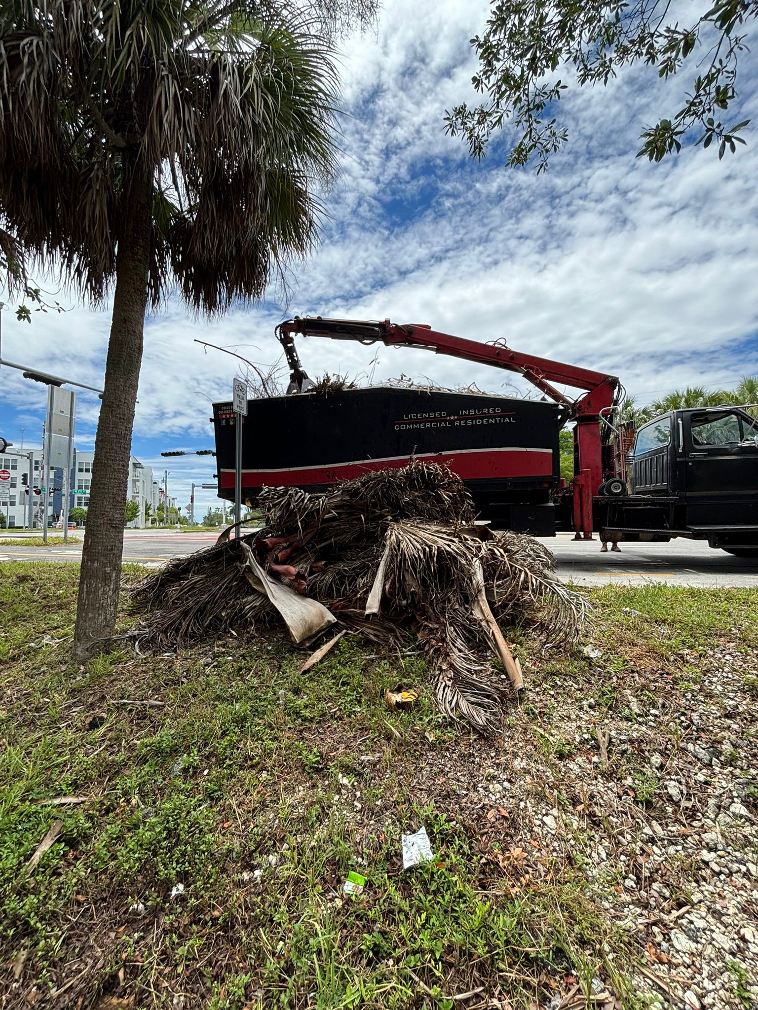 Landscaping showcase 2